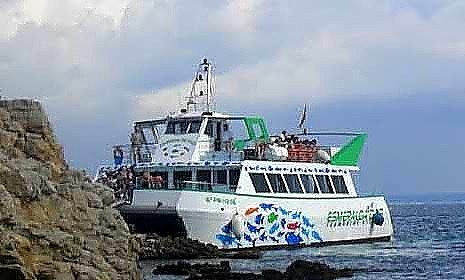 Aus­flug auf Mal­lor­ca mit dem Glasbodenboot