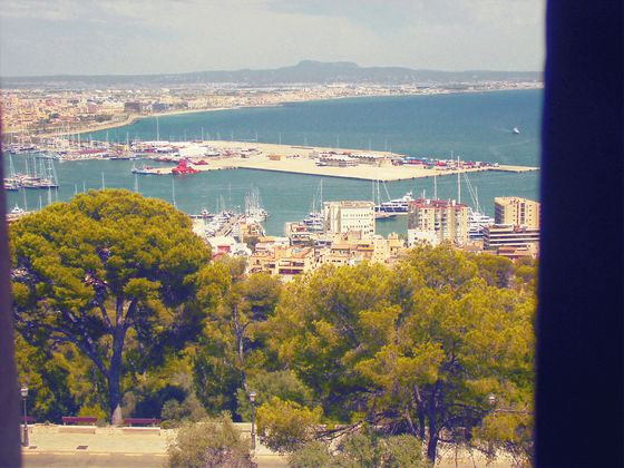 Castell de Bellver, hoch über den Dächern Palmas