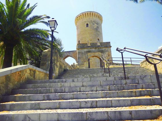 Castell de Bellver, hoch über den Dächern Palmas