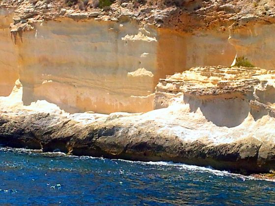 Im Glasbodenboot zwischen Palmanova und Magaluf