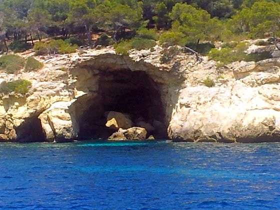 Im Glasbodenboot zwischen Palmanova und Magaluf
