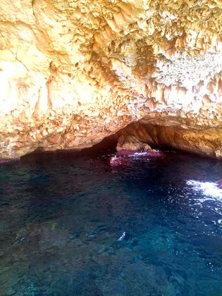 Im Glasbodenboot zwischen Palmanova und Magaluf