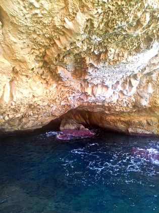 Im Glasbodenboot zwischen Palmanova und Magaluf