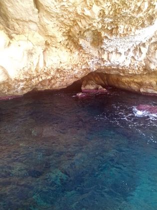 Im Glasbodenboot zwischen Palmanova und Magaluf