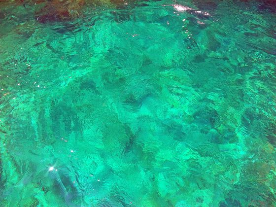 Im Glasbodenboot zwischen Palmanova und Magaluf