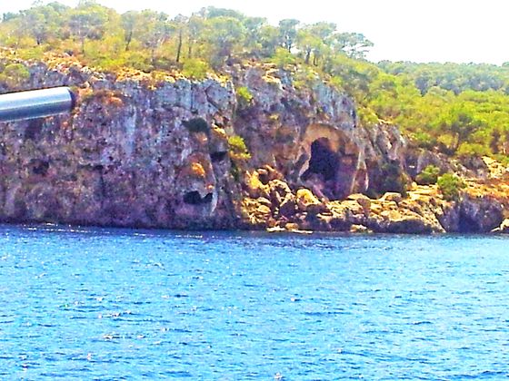 Im Glasbodenboot zwischen Palmanova und Magaluf