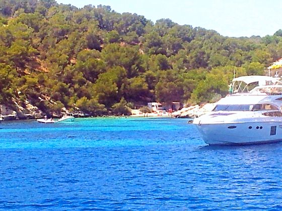 Im Glasbodenboot zwischen Palmanova und Magaluf