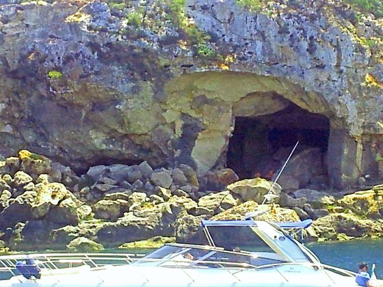Im Glasbodenboot zwischen Palmanova und Magaluf