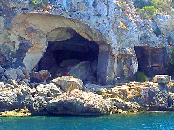 Im Glasbodenboot zwischen Palmanova und Magaluf