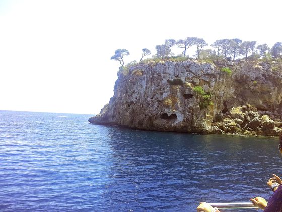 Im Glasbodenboot zwischen Palmanova und Magaluf