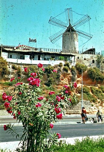 Palma de Mallorca - Bilder einer Stadt 1965