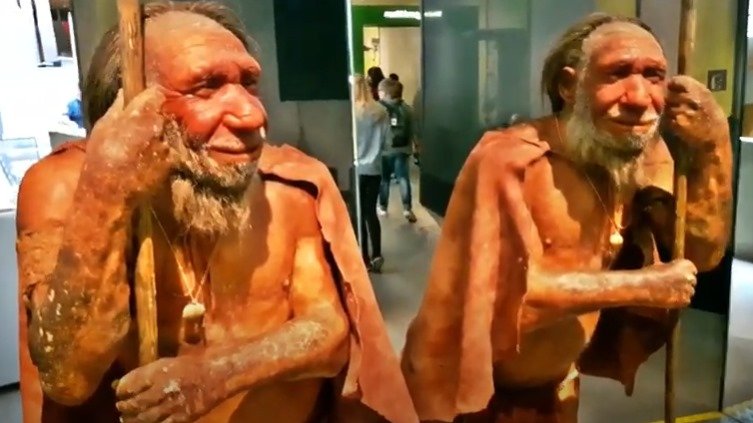 Ein Besuch im Neandertalmuseum