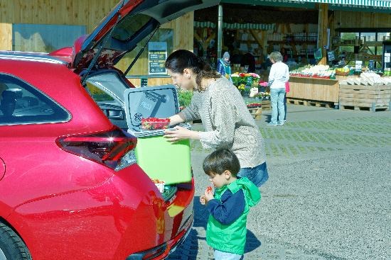 GTÜ tes­tet Kühl­bo­xen für 12 und 230&nbsp;Volt
