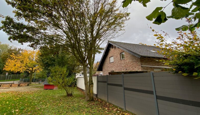 Die beschädigten Bäume in Koslar.