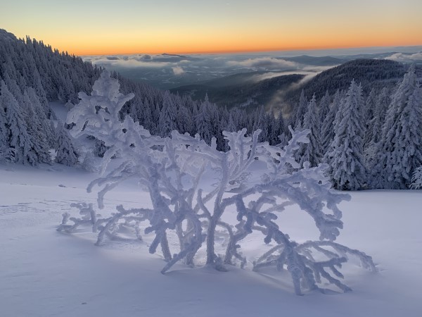 Winterfreude voraus / Zauberhafte Erlebnisse im Bayerischen Wald